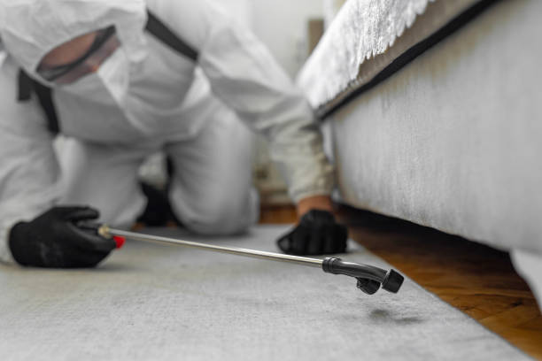 Professional Cockroach Control technician working in Parma, ID