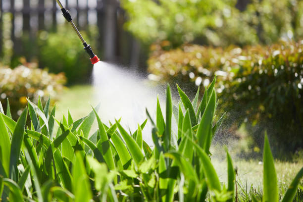 24/7 Emergency Cockroach Control experts in Parma, ID